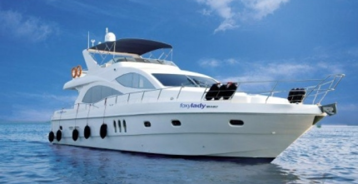 Cruise Image