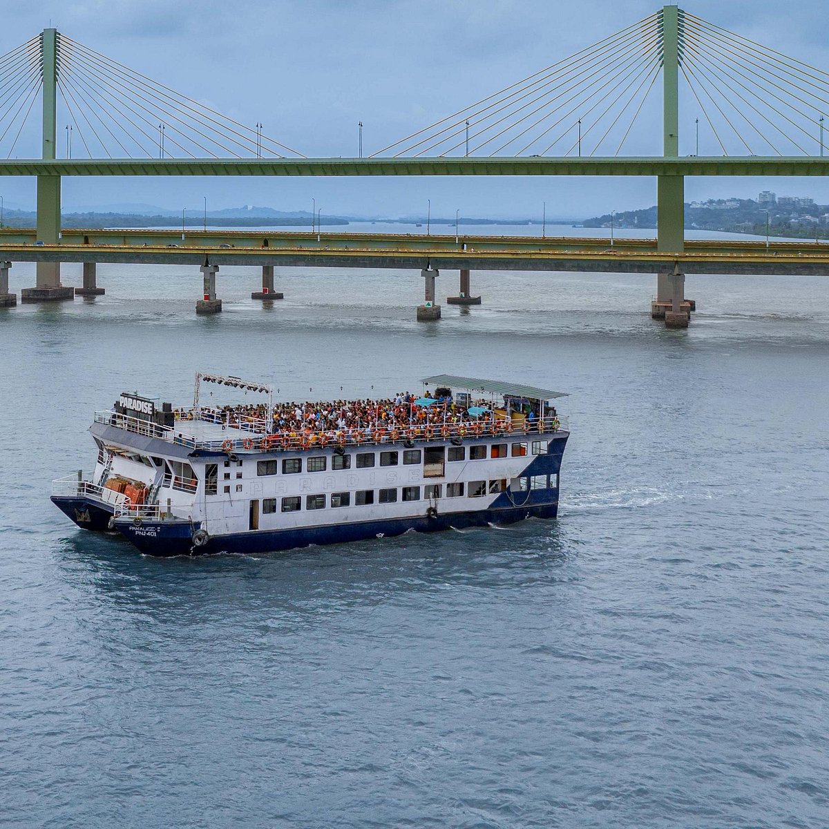 Cruise Image